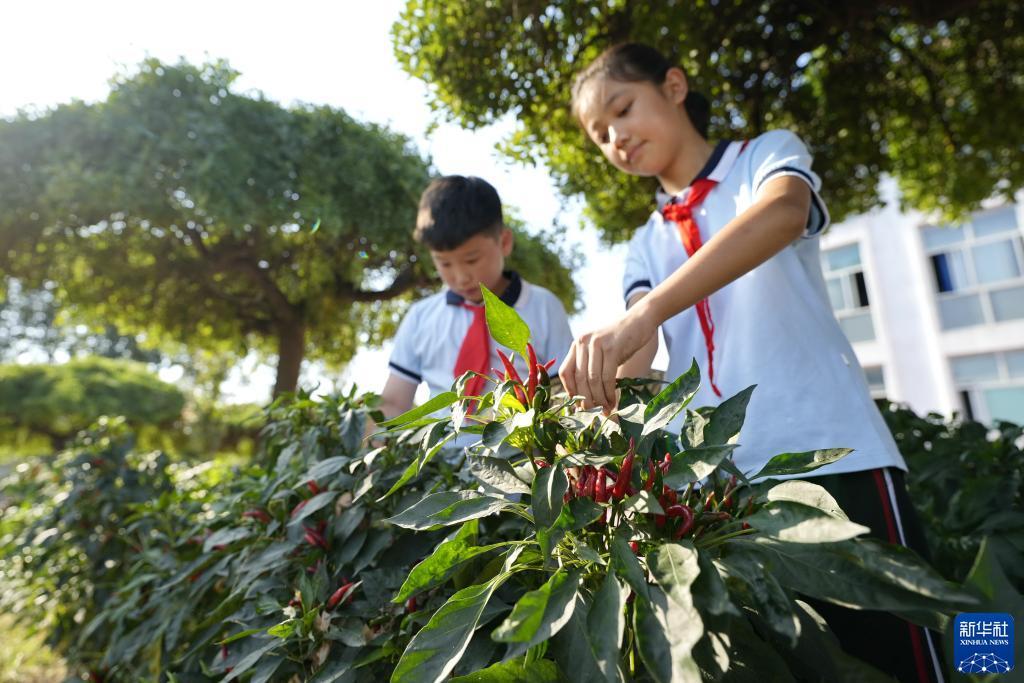 网上飞禽走兽数学打法